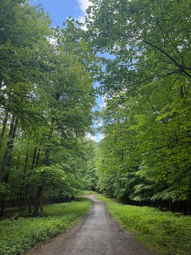 Externsteinen und Falkenburg Rundwanderung