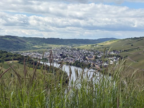 Panorama-Rundweg und Schiefer-Pfad Kröv