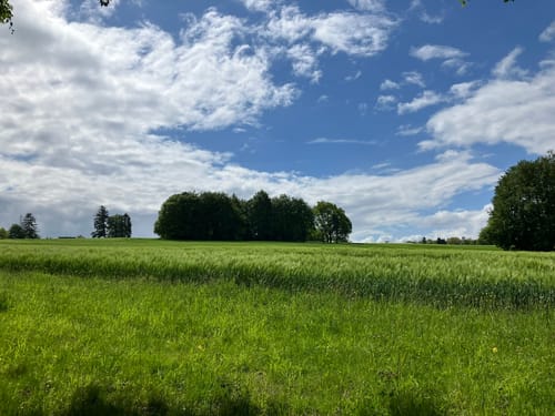 Bad Oeynhausen: Wanderweg Siekertal