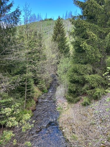 Rund um die Okertalsperre