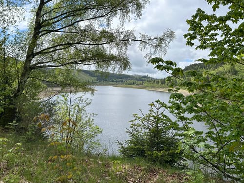 Rund um die Okertalsperre