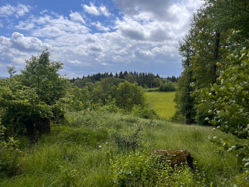 Eduardsturm und Waldlehrpfad