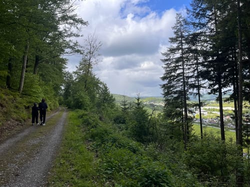 Eduardsturm und Waldlehrpfad