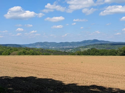 Apollinaris-Schleife (Premiumwanderweg)