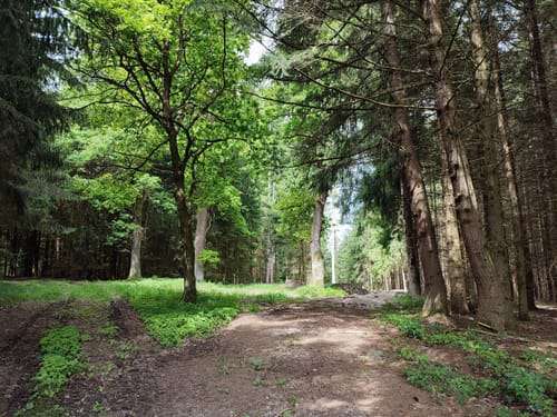Rund um Baierberg