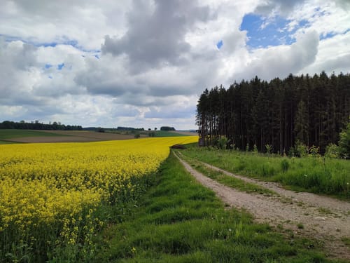 Rund um Baierberg