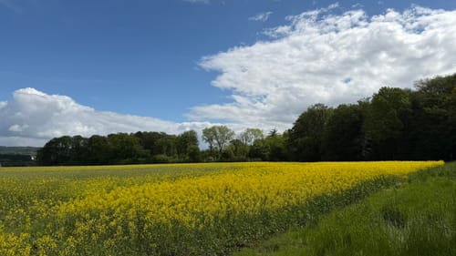 Um den Kleinen Berg ab Bad Laer