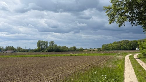 Um den Kleinen Berg ab Bad Laer