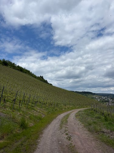 Moseltalschanzen (Moselsteig Seitensprung)