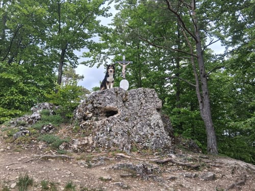 Zum Rechenfels ab Mühlhausen
