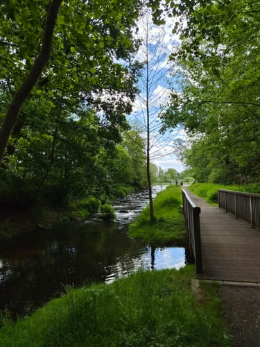Nette-Seen (Premiumwanderweg)