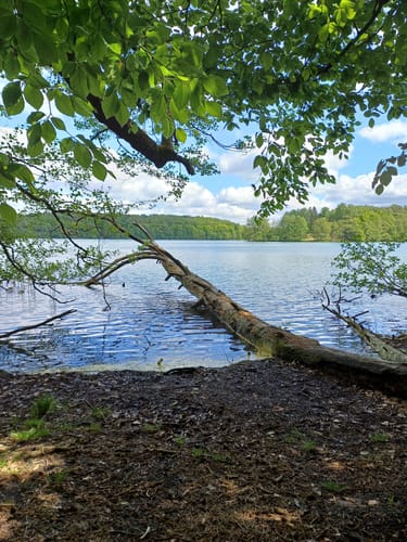 Um den Liepnitzsee bei Wandlitz