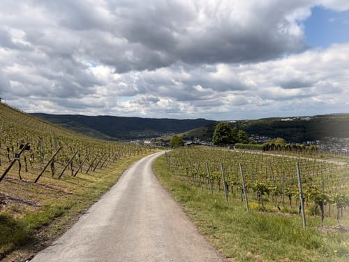 Trarbach - Bernkastel