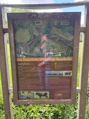 Neandertal - Wildgehege Loop