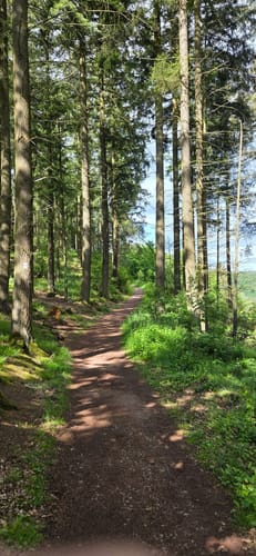 Calmont Klettersteig und Höhenweg ab Ediger-Eller