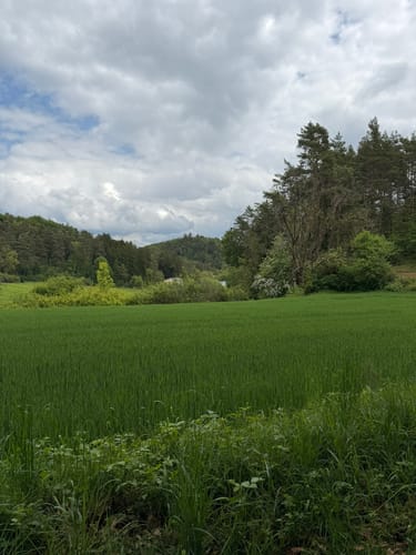 Rundwanderweg Eichblattweg