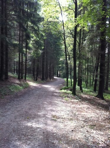 Arnschwanger Weg (Fu05)