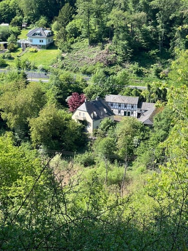 Ruine Scharfenstein und NSG Weihersberg bei Kiedrich ab Eltville
