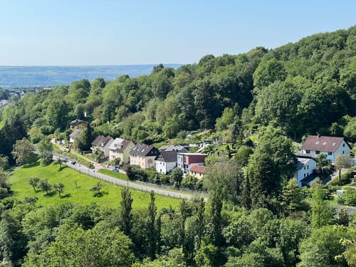 Ruine Scharfenstein und NSG Weihersberg bei Kiedrich ab Eltville