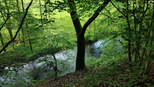 Auf dem Neanderlandsteig von Velbert nach Essen-Kettwig (S)