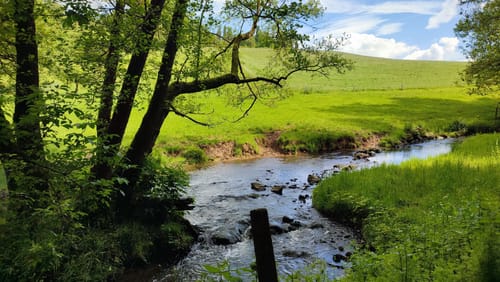 Auf dem Neanderlandsteig von Velbert nach Essen-Kettwig (S)