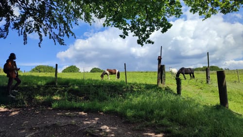 Auf dem Neanderlandsteig von Velbert nach Essen-Kettwig (S)