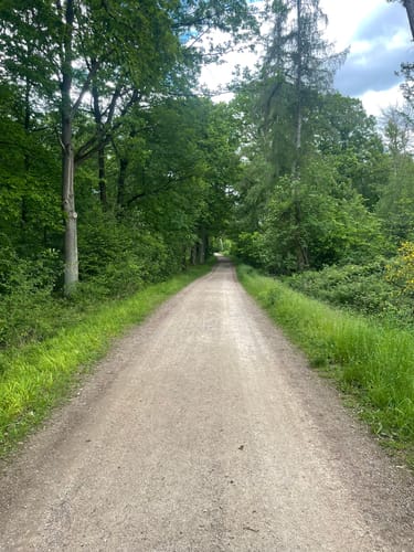Dachsbusch Rundweg