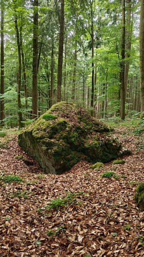 Zum Weyrichsbruch
