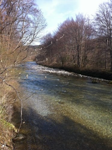 Siegsdorf - Ruhpolding - Gschwall