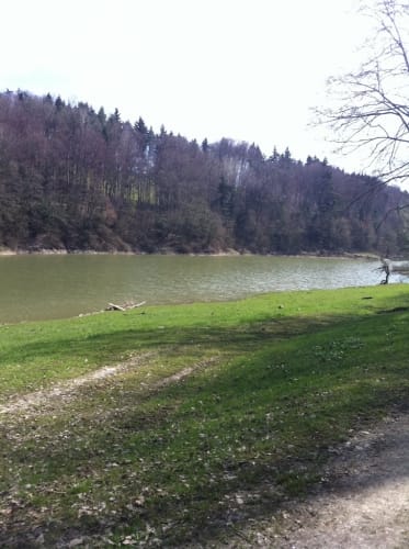 Rundweg Waginger und Tachinger See