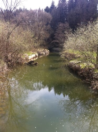 Rundweg Waginger und Tachinger See