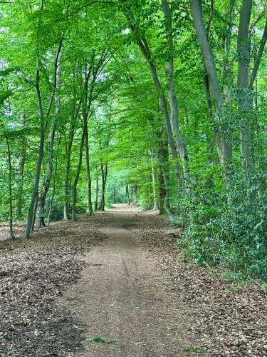 Schwalmbruch (Premiumwanderweg)