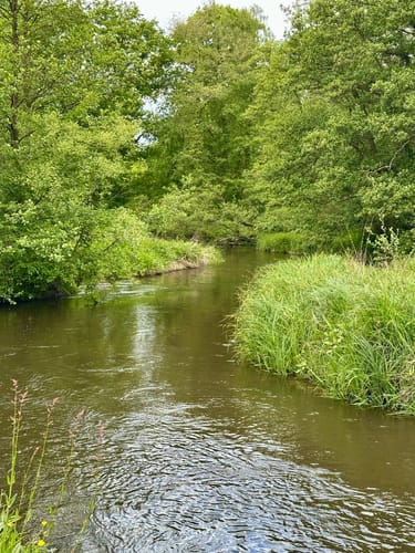 Schwalmbruch (Premiumwanderweg)