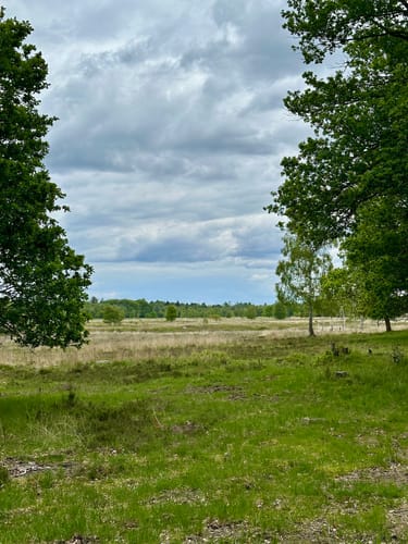 Schwalmbruch (Premiumwanderweg)