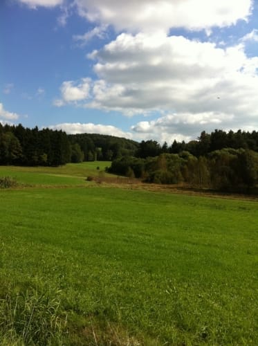 Viechtberger Rundweg (WW 4)
