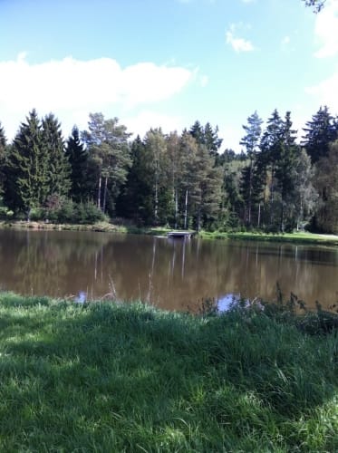 Viechtberger Rundweg (WW 4)