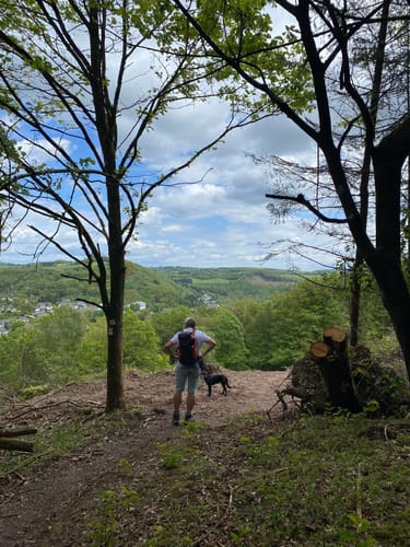 Devonpfad (Premiumwanderweg)