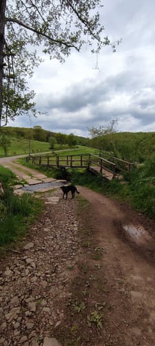 Devonpfad (Premiumwanderweg)