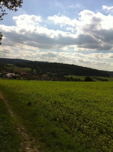 Viechtberger Rundweg (WW 4)
