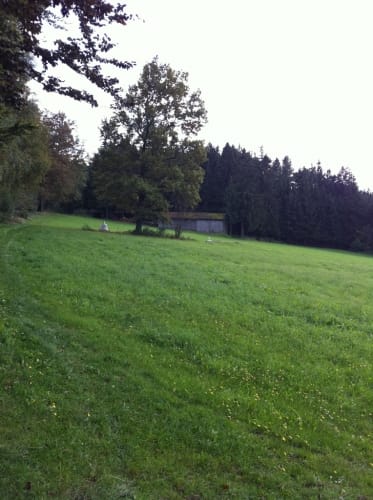 Viechtberger Rundweg (WW 4)