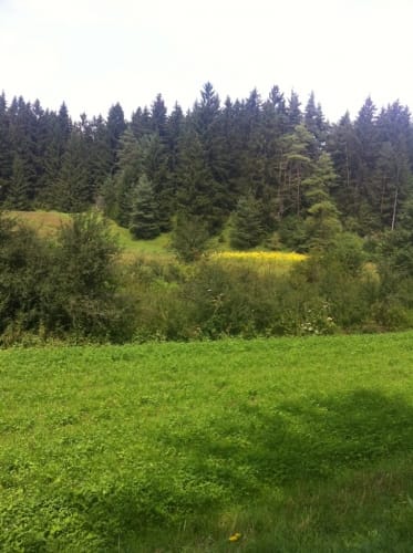 Von Kastl nach Sulzbach-Rosenberg