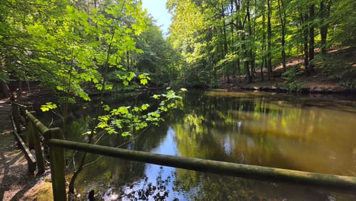 Durch den Aplerbecker und Schwerter Wald