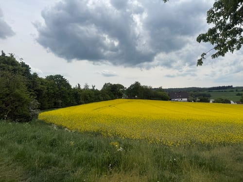 Ramschied nach Fischbach