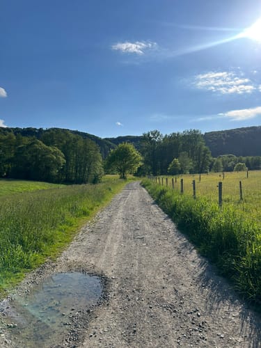 Natursteig Sieg - Etappe 7: Herchen - Schladern