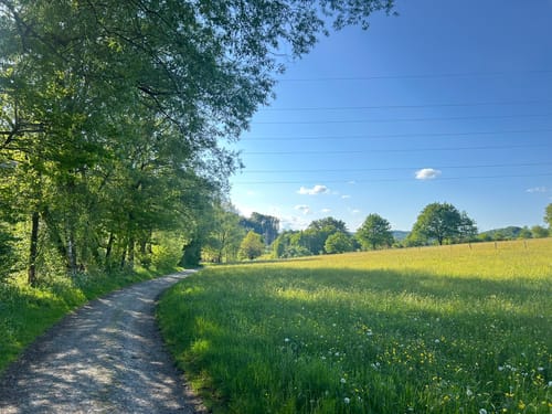 Natursteig Sieg - Etappe 7: Herchen - Schladern