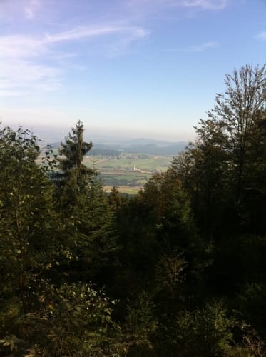 Goldsteig Zuweg Nr. 12: Neukirchen - Forstdiensthütte Hohenbogen