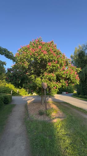 Dieksee Rundweg