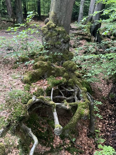 Am Rotbach