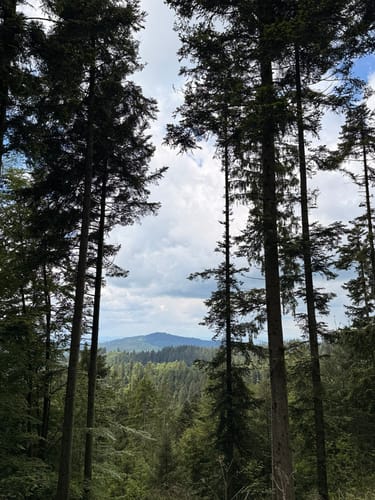 Parkplatz Haigerach - Moosturm - Kornebene