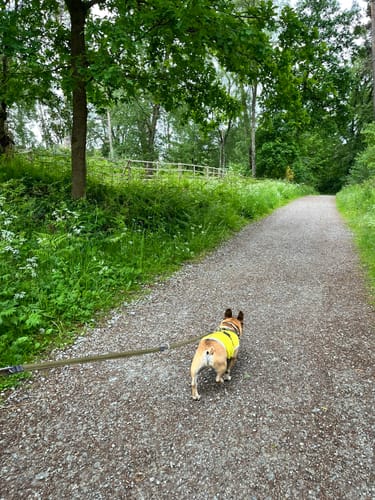 Auf dem Hülsenberg (Ratingen A5)